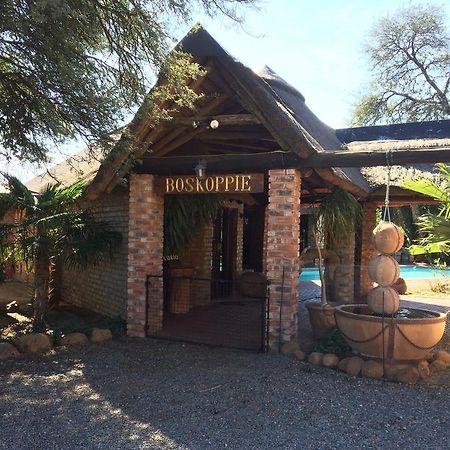 Boskoppie Lion & Tiger Reserve Kroonstad Kültér fotó