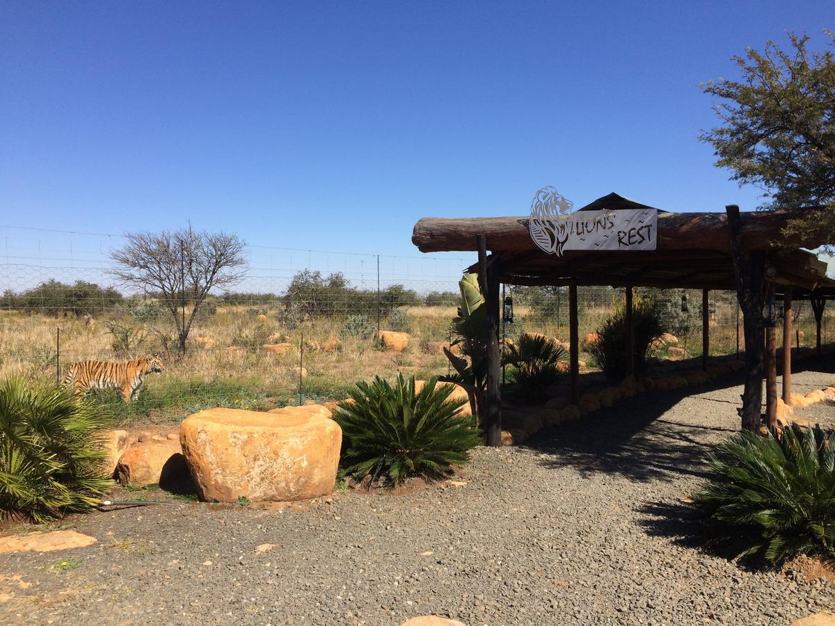 Boskoppie Lion & Tiger Reserve Kroonstad Kültér fotó